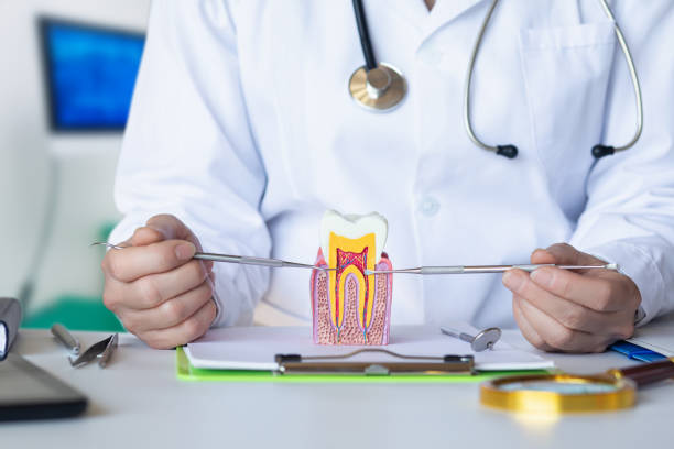 Best Emergency Root Canal Treatment in Alliae, NC